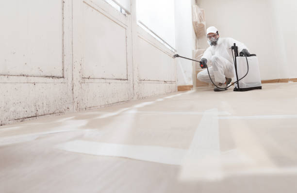 Black mold remediation team in Howard